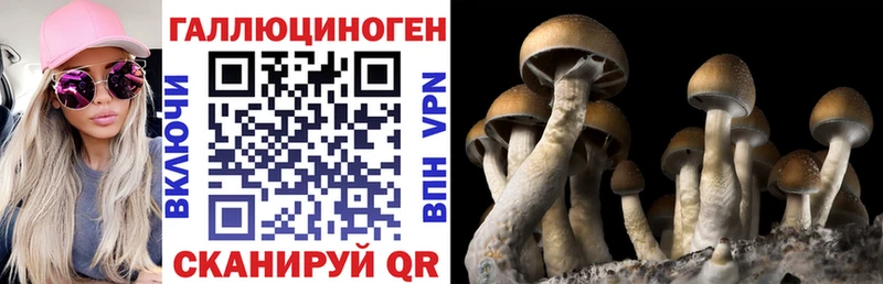 Галлюциногенные грибы мухоморы  Старая Русса 